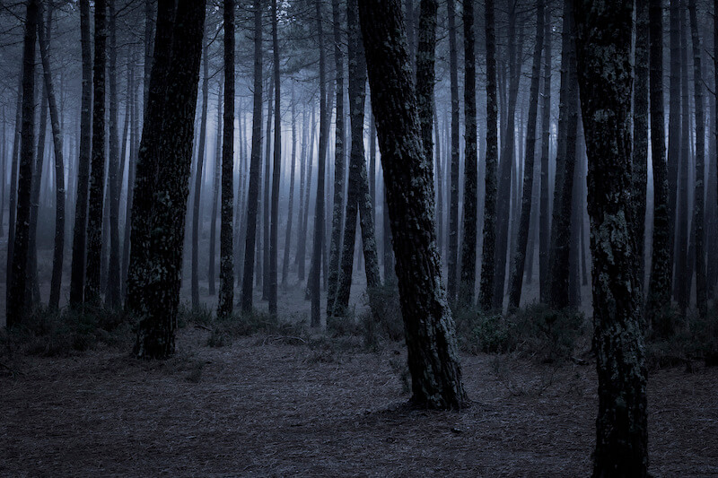 Get Spooked at the Field of Screams Maryland