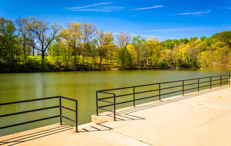 Enjoy a Day at Lake Roland