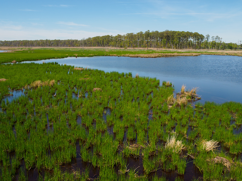 Activities & Entertainment in Maryland