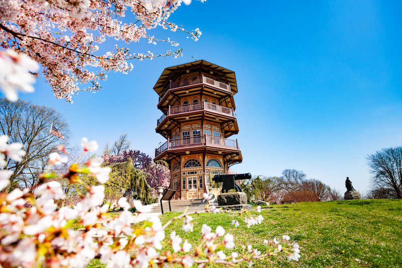 Patterson Park in Spring with Cherry Blossoms and Pagoda