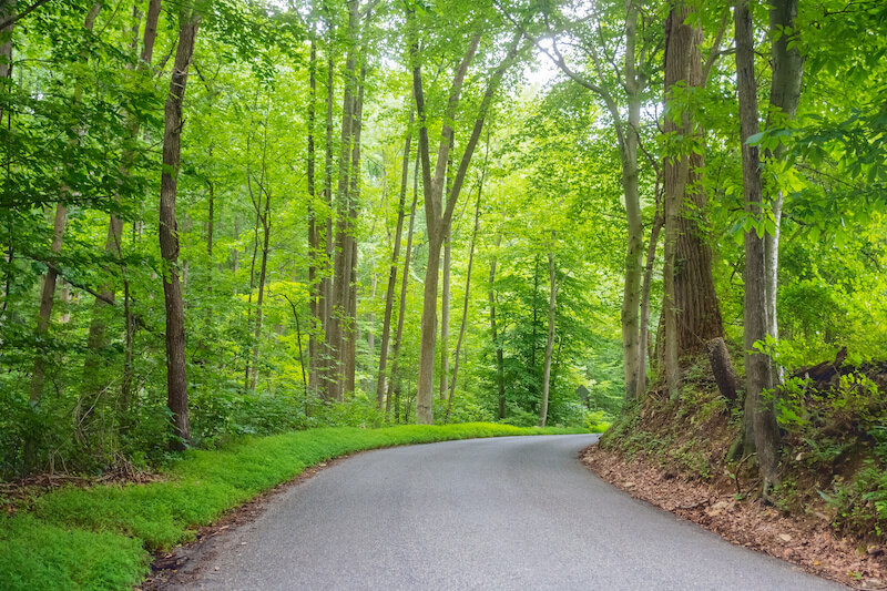 Enjoy a Hike Through Susquehanna State Park